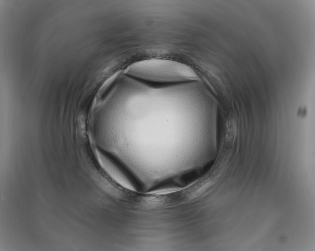 X0000090870238200708171632