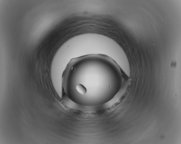 X0000090870239200708171632