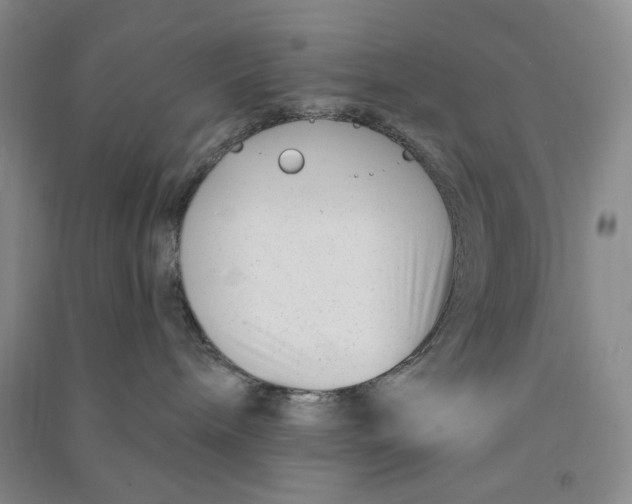 X0000090870240200708171631