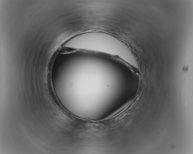 X0000090870242200708171631