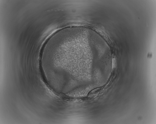 X0000090870243200708171631