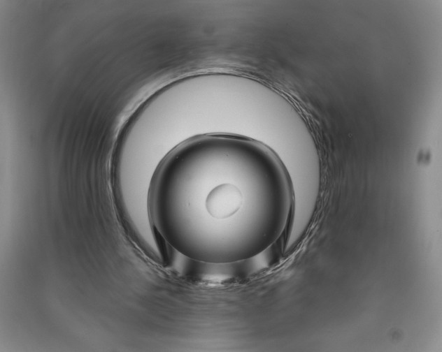 X0000090870244200708171631