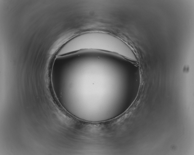 X0000090870245200708171631