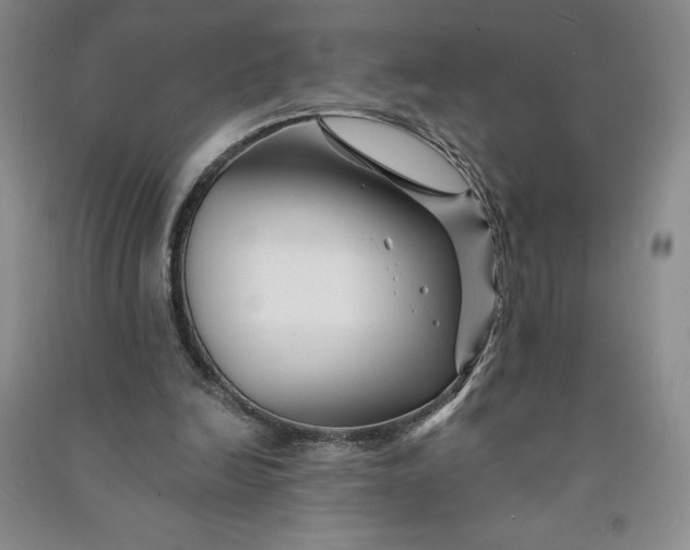 X0000090870246200708171631