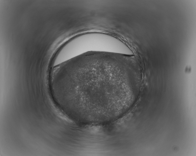 X0000090870247200708171631