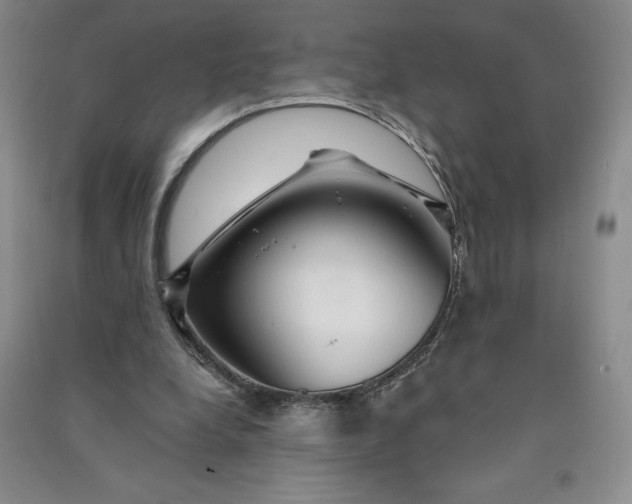 X0000090870248200708171631