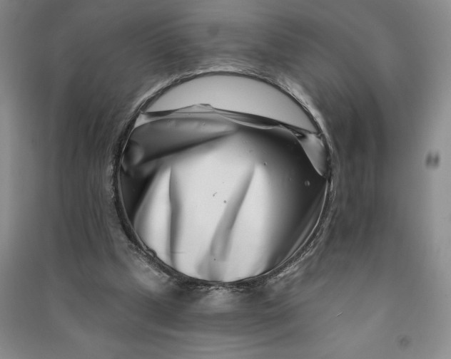 X0000090870249200708171631