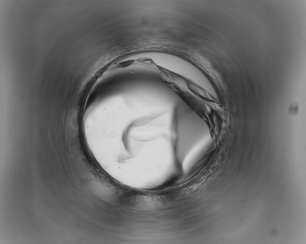 X0000090870250200708171631