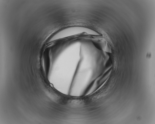 X0000090870251200708171631