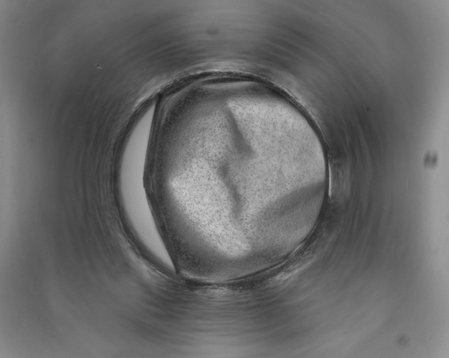 X0000090870253200708171631