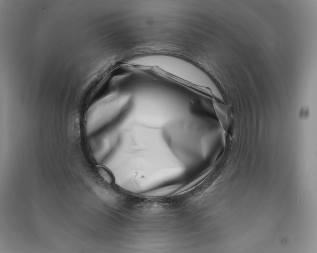 X0000090870254200708171631