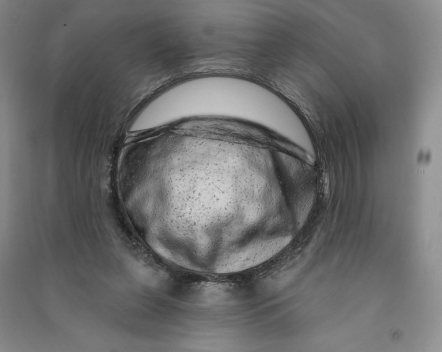 X0000090870255200708171631