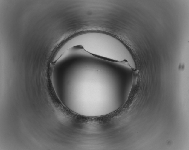 X0000090870256200708171631