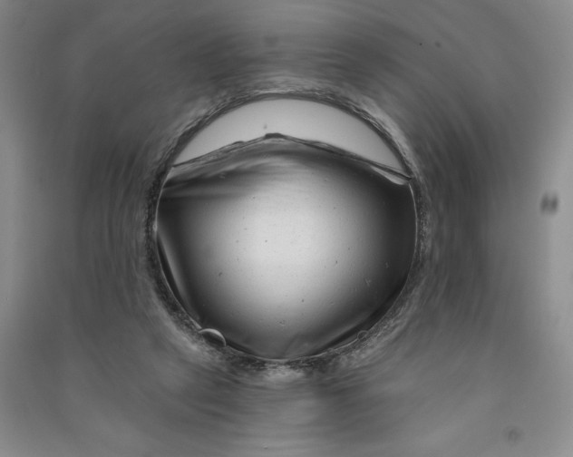 X0000090870257200708171631