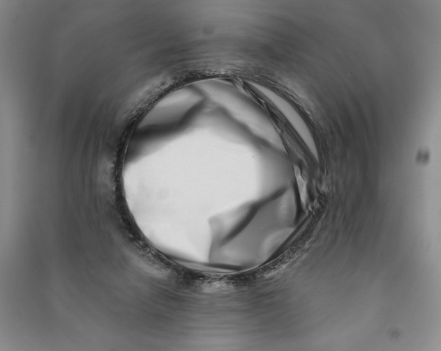 X0000090870258200708171631