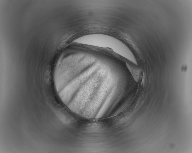 X0000090870259200708171631