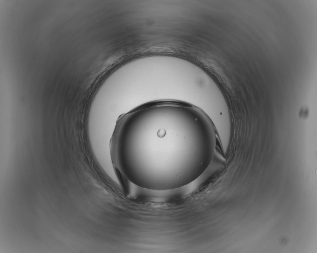 X0000090870260200708171631