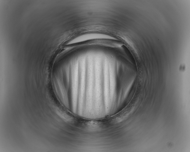 X0000090870261200708171631