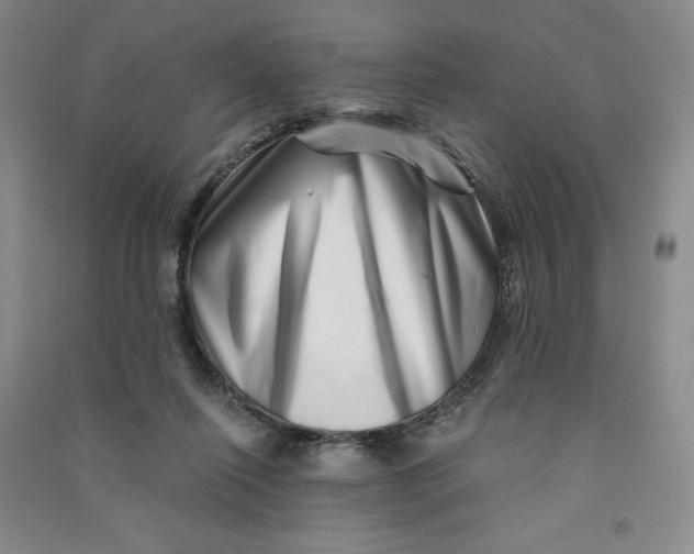 X0000090870262200708171631