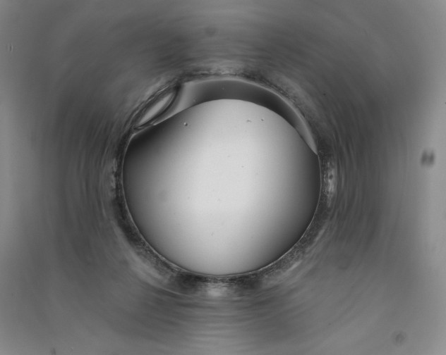 X0000090870264200708171631