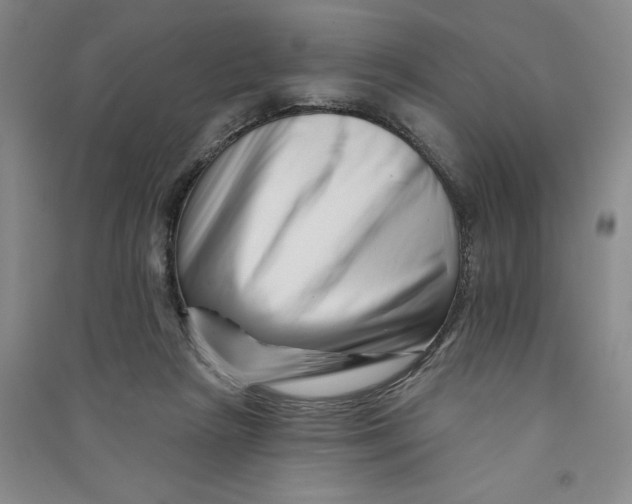 X0000090870265200708171631