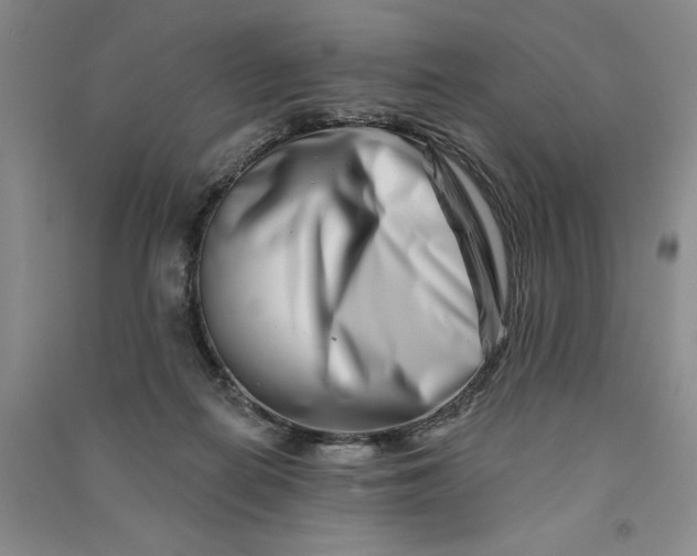 X0000090870266200708171631