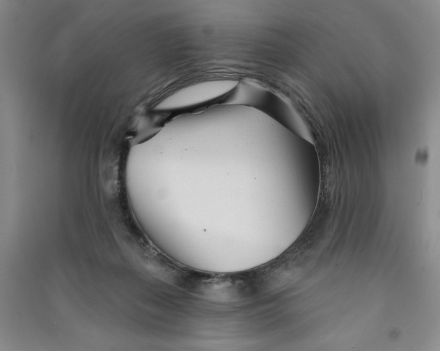 X0000090870267200708171631