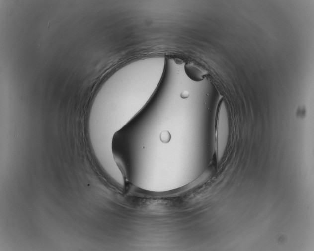 X0000090870268200708171631