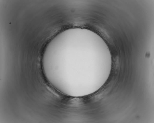 X0000090870269200708171631