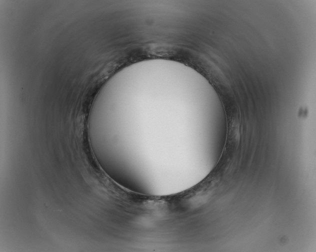 X0000090870271200708171631