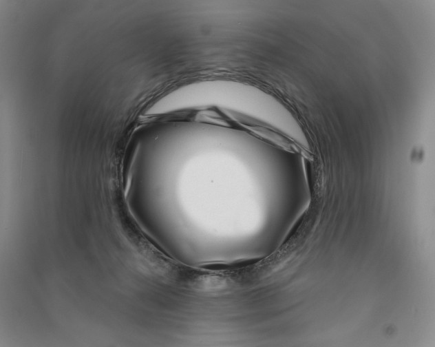 X0000090870272200708171631