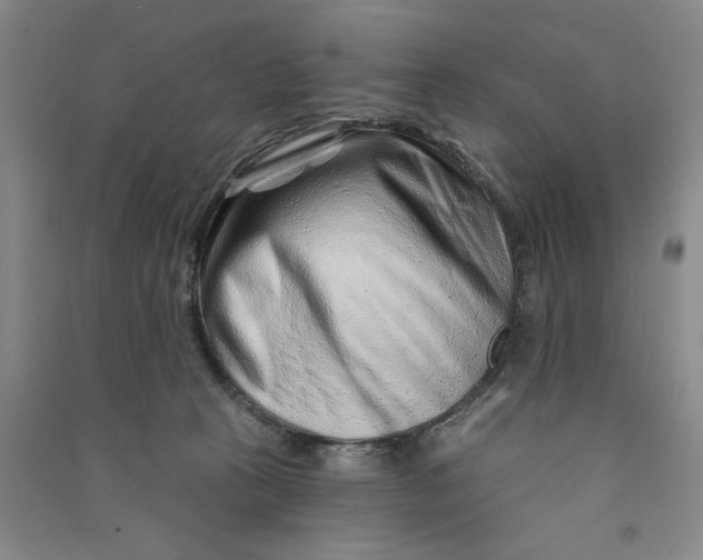 X0000090870273200708171631