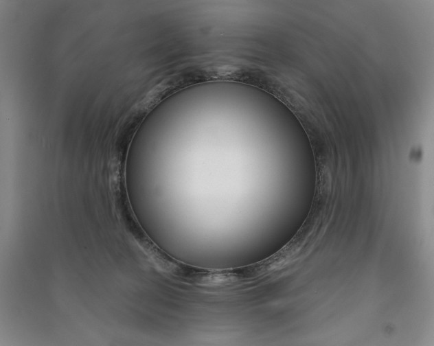 X0000090870274200708171631