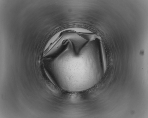 X0000090870275200708171631