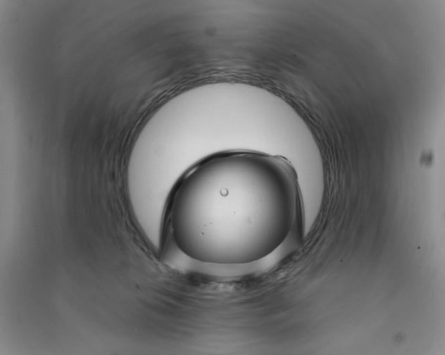 X0000090870276200708171631