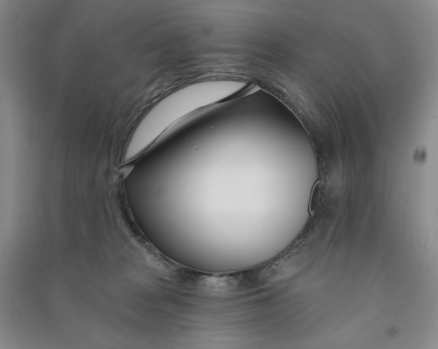 X0000090870277200708171631