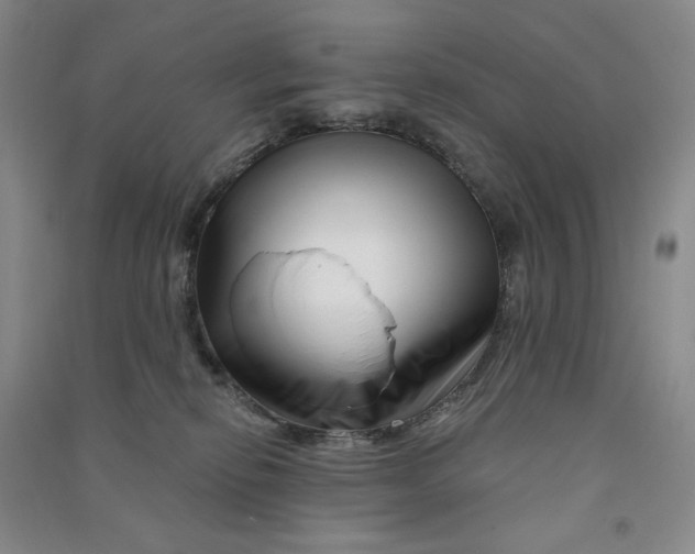 X0000090870278200708171631