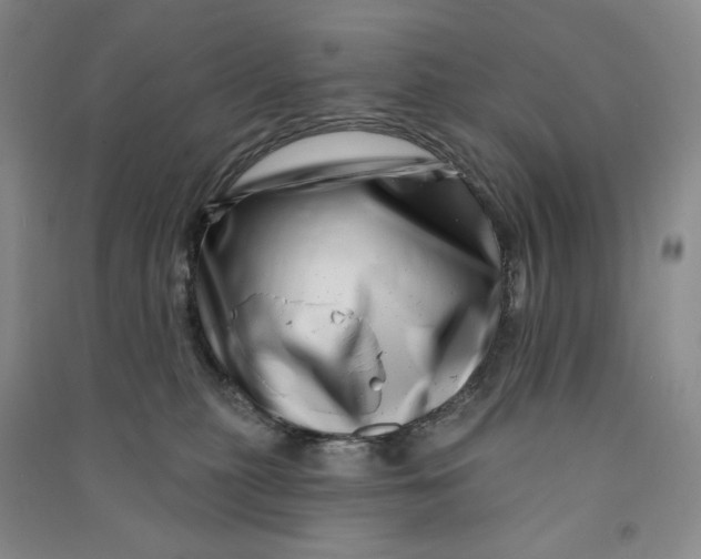 X0000090870279200708171631