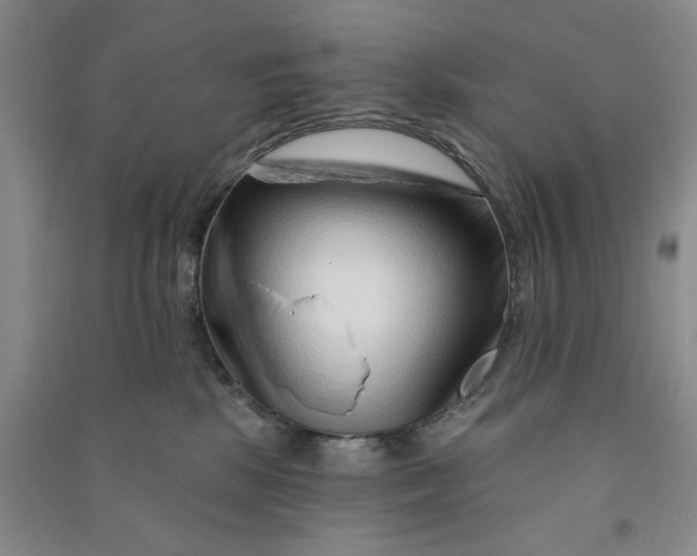 X0000090870281200708171631