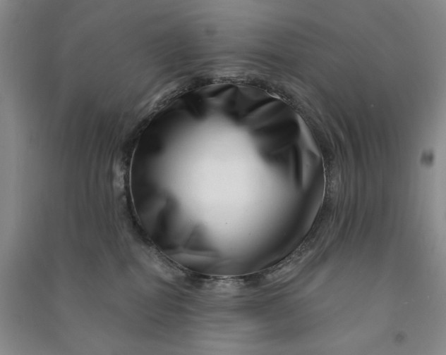 X0000090870282200708171631