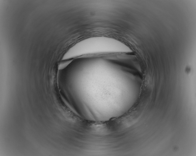 X0000090870283200708171631