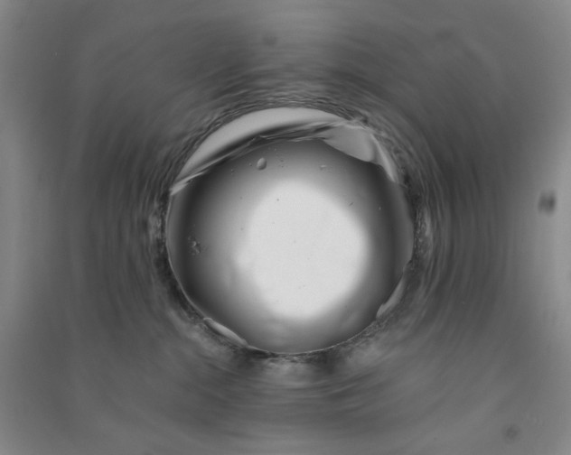 X0000090870284200708171631