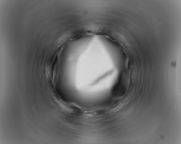 X0000090870285200708171631