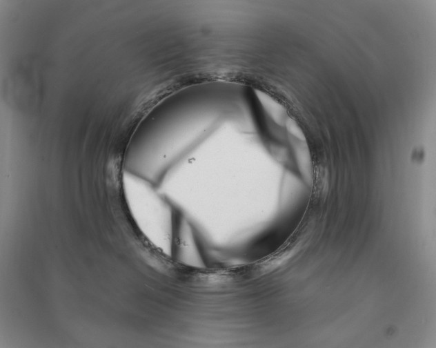 X0000090870286200708171631