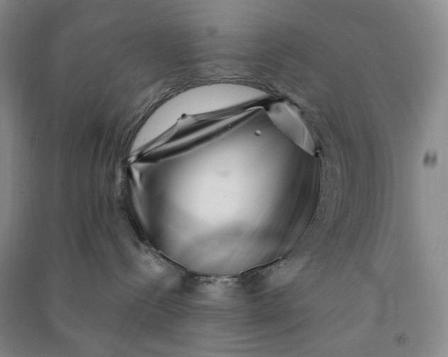 X0000090870288200708171631