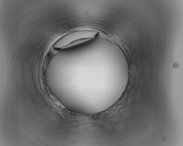 X0000090870289200708171631