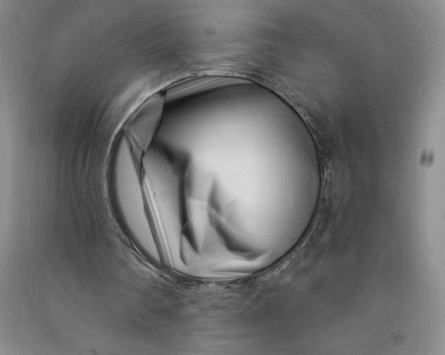 X0000090870290200708171631