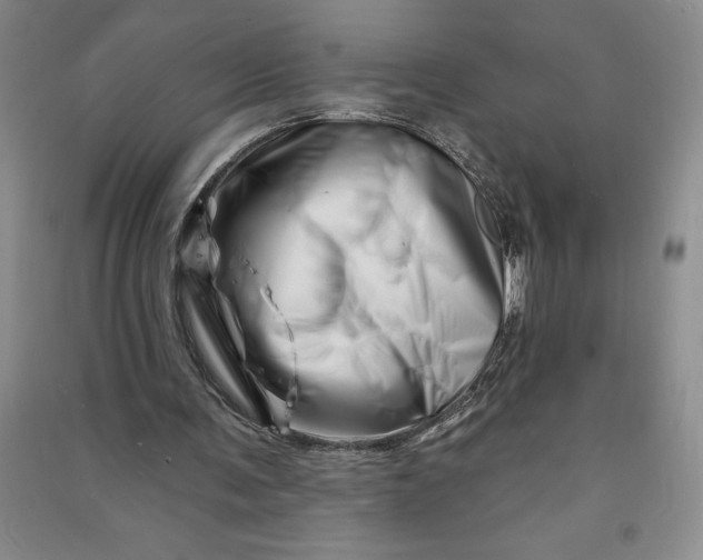 X0000090870291200708171631