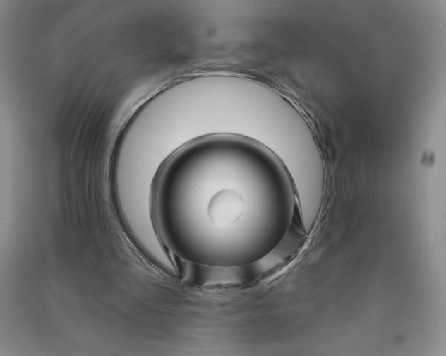 X0000090870293200708171630