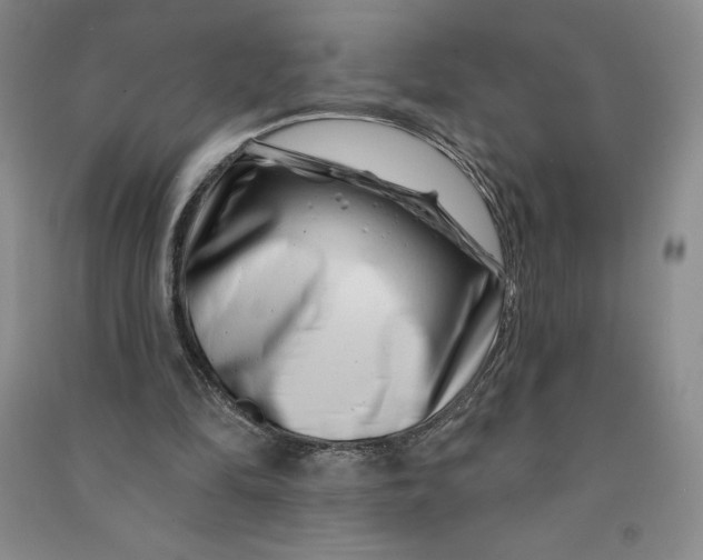 X0000090870294200708171630